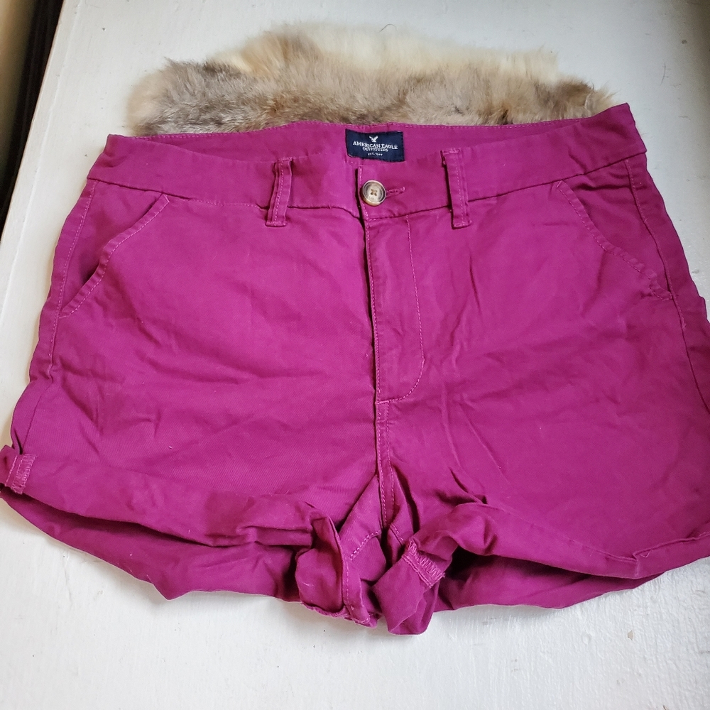 American Eagle Purple Shorts
